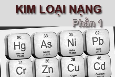 Kim Loại nặng phần 1