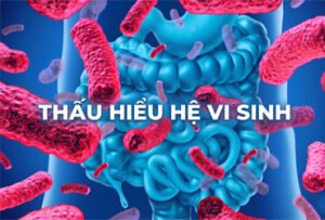 he-vi-sinh-duong-ruot-triet-ly-vo-vi