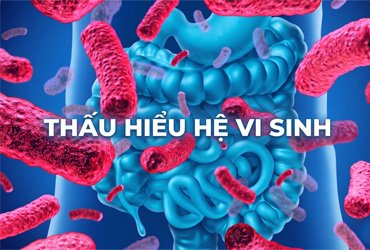 he-vi-sinh-duong-ruot-triet-ly-vo-vi