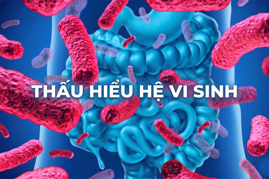 he-vi-sinh-duong-ruot-triet-ly-vo-vi